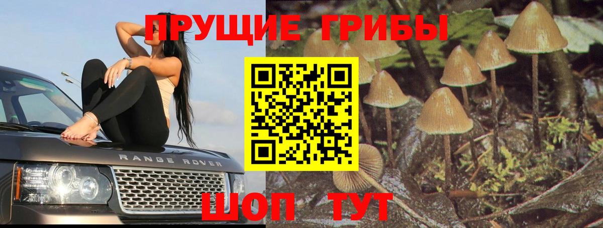 Галлюциногенные грибы Magic Shrooms Дубна